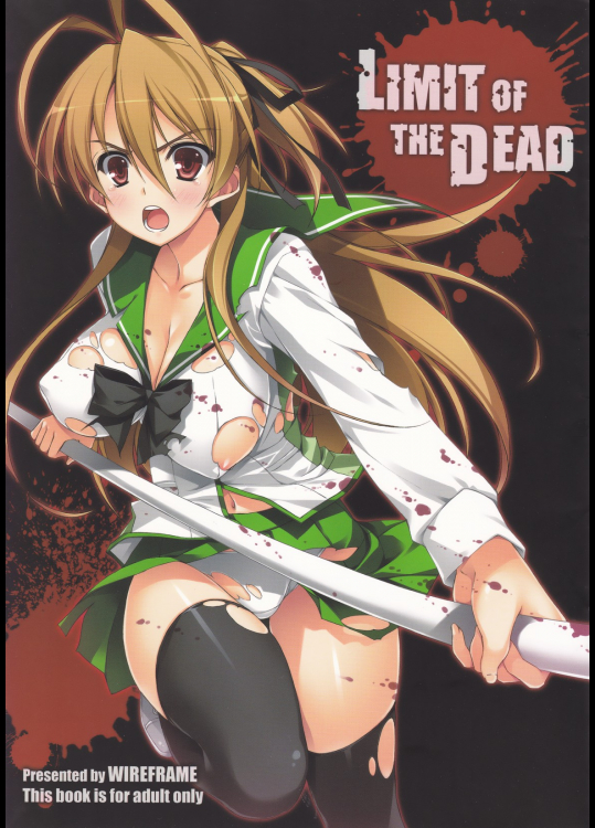 [WIREFRAME]LIMIT OF THE DEAD (学園黙示録 HIGHSCHOOL OF THE DEAD)