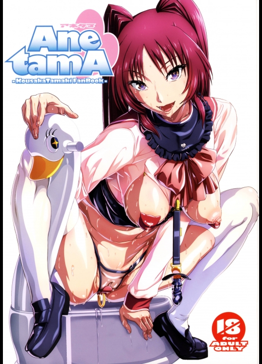 Ane tamA -Kousaka Tamaki Funbook- (To Heart 2)
