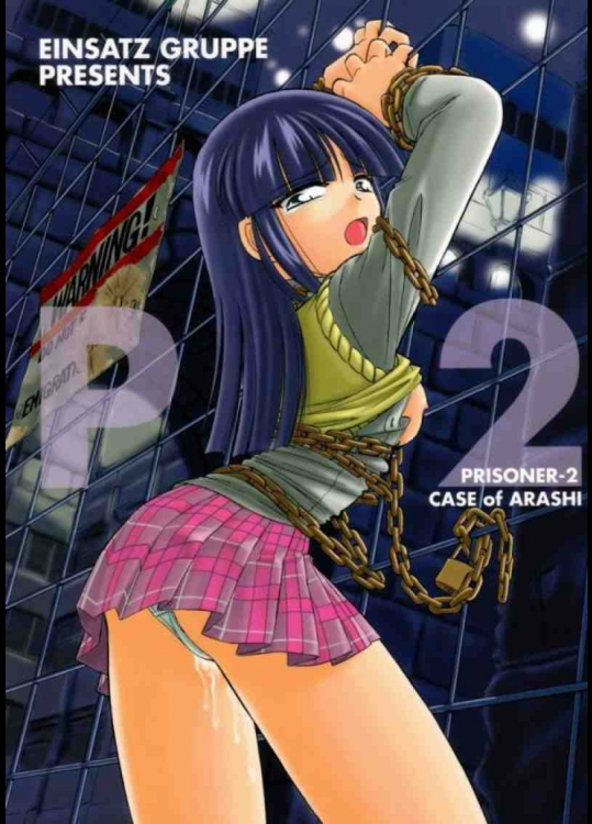 PRISONER-2 CASE of ARASHI