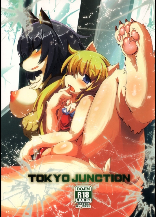 TOKYO JUNCTION