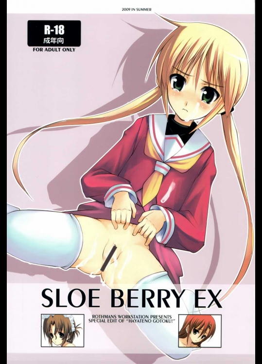 SLOE BERRY EX          
