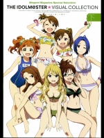THE iDOLM@STER Visual Collection Vol. 2