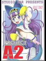 PROJECT ARALE 2