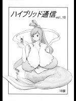 (COMIC1☆6) [ハイブリッド事務室 (室永叉焼)] ハイブリッド通信 Vol.10 (ワンピース)