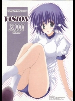 VISION XIII          