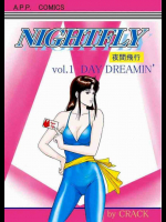 NIGHTFLY 夜間飛行 vol.1
